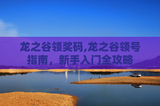龙之谷领奖码,龙之谷领号指南，新手入门全攻略