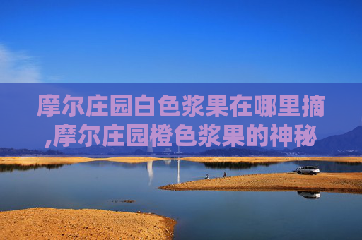 摩尔庄园白色浆果在哪里摘,摩尔庄园橙色浆果的神秘获取之旅