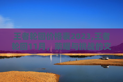 王者轮回价格表2023,王者轮回11月，荣耀与挑战的交织