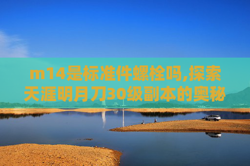 m14是标准件螺栓吗,探索天涯明月刀30级副本的奥秘