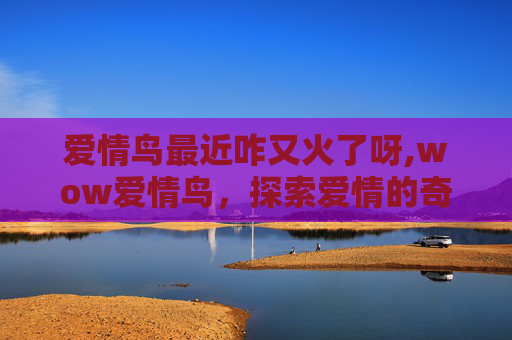 爱情鸟最近咋又火了呀,wow爱情鸟，探索爱情的奇妙旅程