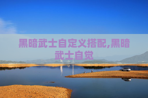黑暗武士自定义搭配,黑暗武士自觉