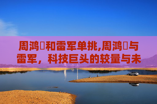 周鸿祎和雷军单挑,周鸿祎与雷军，科技巨头的较量与未来展望