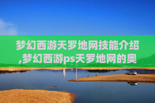梦幻西游天罗地网技能介绍,梦幻西游ps天罗地网的奥秘与策略