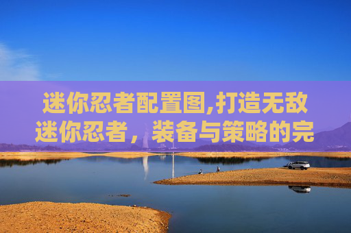 迷你忍者配置图,打造无敌迷你忍者，装备与策略的完美融合