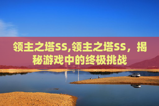 领主之塔SS,领主之塔SS，揭秘游戏中的终极挑战