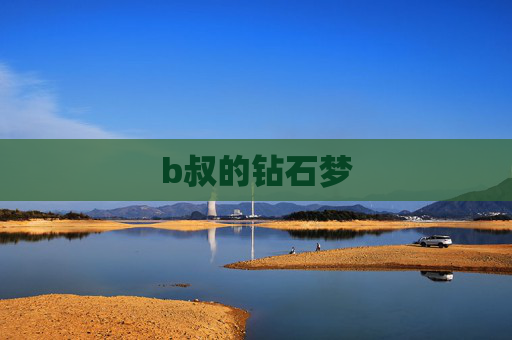 b叔的钻石梦