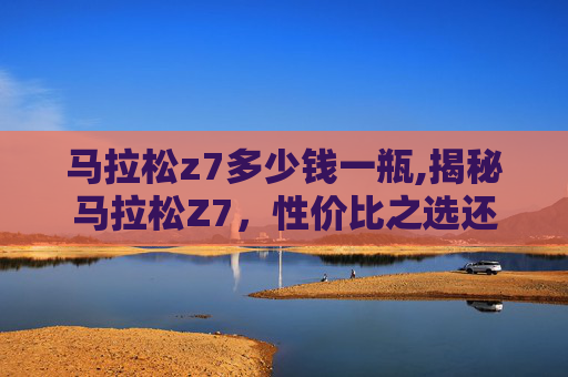 马拉松z7多少钱一瓶,揭秘马拉松Z7，性价比之选还是高端奢华？