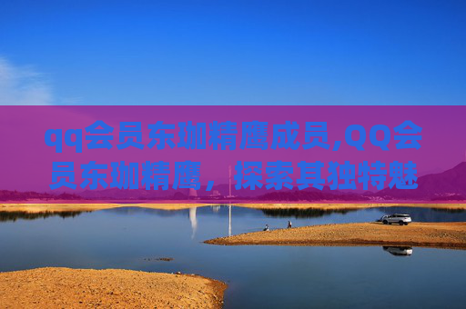 qq会员东珈精鹰成员,QQ会员东珈精鹰，探索其独特魅力与价值
