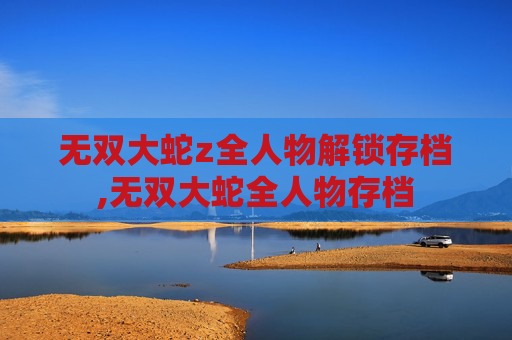 无双大蛇z全人物解锁存档,无双大蛇全人物存档