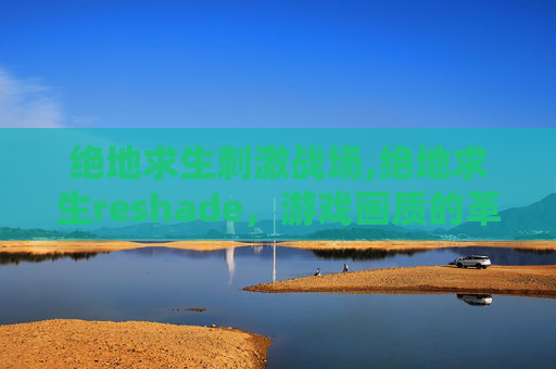 绝地求生刺激战场,绝地求生reshade,游戏画质的革新者 绝地求生刺激战场,绝地求生reshade,游戏画质的革新者