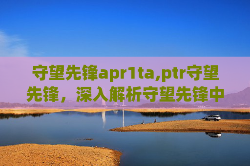 守望先锋apr1ta,ptr守望先锋，深入解析守望先锋中的英雄与战术
