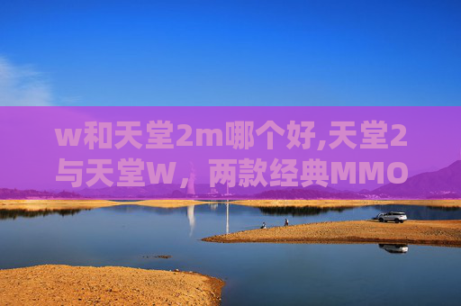w和天堂2m哪个好,天堂2与天堂W，两款经典MMORPG的比较分析