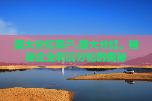 盛大分红用户,盛大分红，揭秘企业利润分配的奥秘