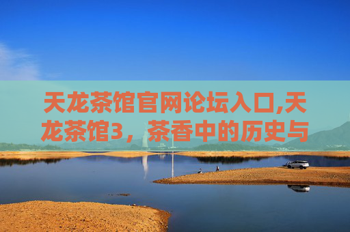 天龙茶馆官网论坛入口,天龙茶馆3,茶香中的历史与文化 天龙茶馆官网论坛入口,天龙茶馆3,茶香中的历史与文化