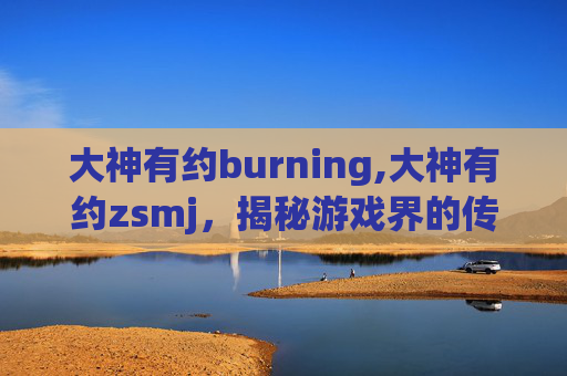 大神有约burning,大神有约zsmj，揭秘游戏界的传奇人物