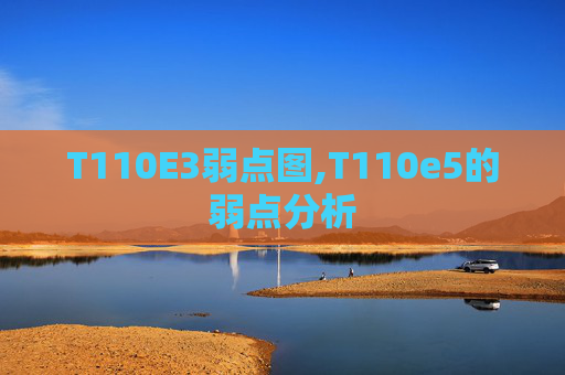 T110E3弱点图,T110e5的弱点分析