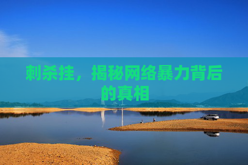 刺杀挂，揭秘网络暴力背后的真相