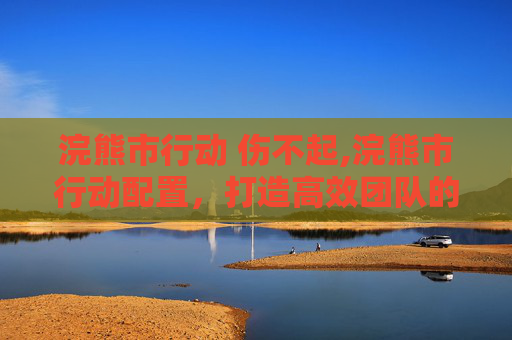 浣熊市行动 伤不起,浣熊市行动配置，打造高效团队的必备策略