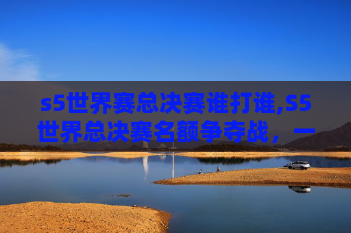 s5世界赛总决赛谁打谁,S5世界总决赛名额争夺战，一场电竞界的巅峰对决