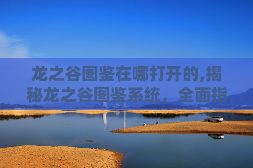 龙之谷图鉴在哪打开的,揭秘龙之谷图鉴系统，全面指南
