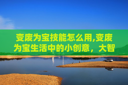 变废为宝技能怎么用,变废为宝生活中的小创意，大智慧！