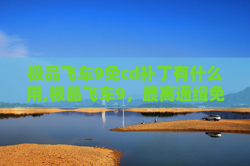 极品飞车9免cd补丁有什么用,极品飞车9，最高通缉免CD版体验，速度与激情的完美融合