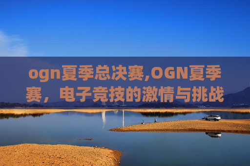 ogn夏季总决赛,OGN夏季赛，电子竞技的激情与挑战