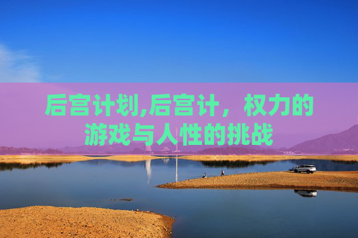 后宫计划,后宫计，权力的游戏与人性的挑战