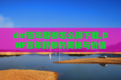 dnf百年野参怎么得下载,DNF百年野参的奥秘与价值