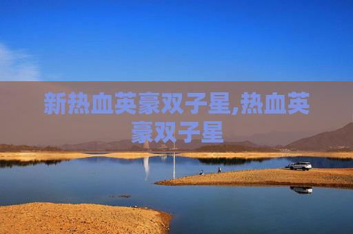新热血英豪双子星,热血英豪双子星
