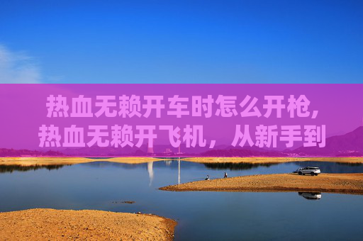 热血无赖开车时怎么开枪,热血无赖开飞机，从新手到高手的飞行之旅