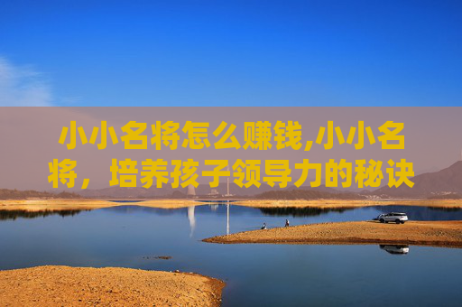 小小名将怎么赚钱,小小名将,培养孩子领导力的秘诀 小小名将怎么赚钱,小小名将,培养孩子领导力的秘诀