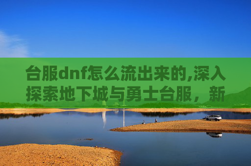 台服dnf怎么流出来的,深入探索地下城与勇士台服，新手入门指南