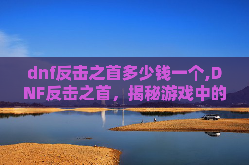dnf反击之首多少钱一个,DNF反击之首，揭秘游戏中的终极技巧与策略