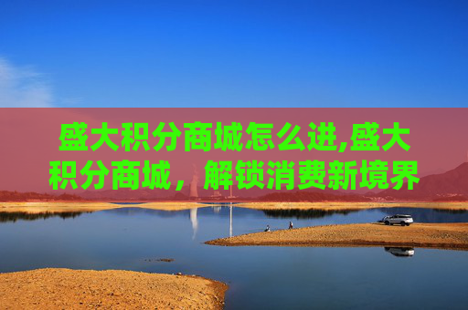 盛大积分商城怎么进,盛大积分商城，解锁消费新境界，体验积分经济的魅力