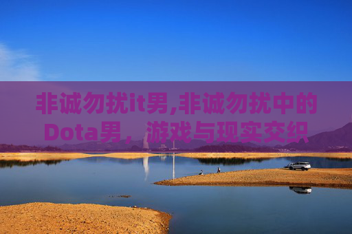 非诚勿扰it男,非诚勿扰中的Dota男，游戏与现实交织的浪漫
