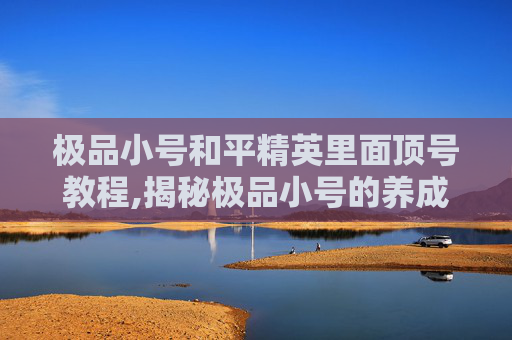 极品小号和平精英里面顶号教程,揭秘极品小号的养成之路