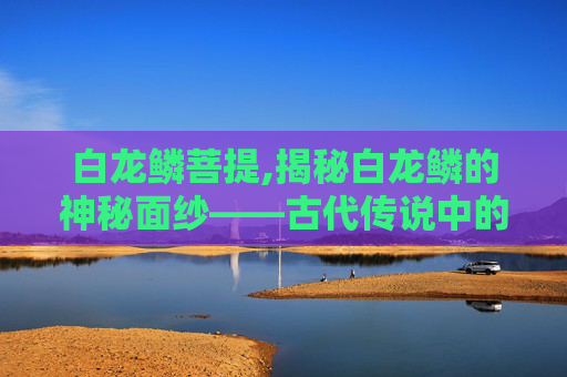 白龙鳞菩提,揭秘白龙鳞的神秘面纱——古代传说中的珍稀之物