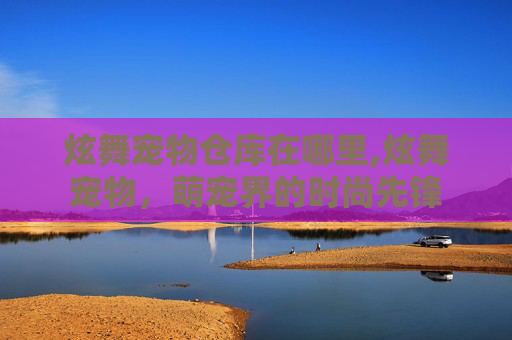 炫舞宠物仓库在哪里,炫舞宠物，萌宠界的时尚先锋