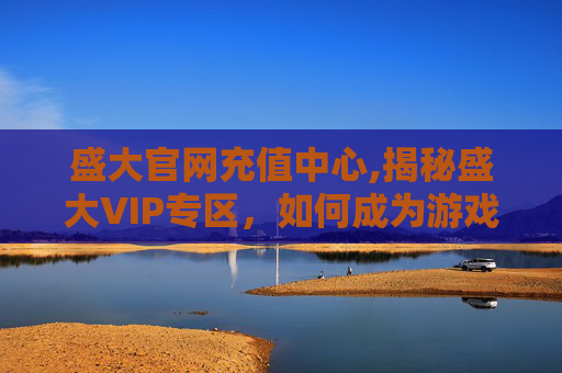 盛大官网充值中心,揭秘盛大VIP专区，如何成为游戏界的超级玩家？