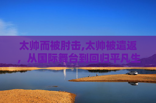 太帅而被肘击,太帅被遣返，从国际舞台到回归平凡生活