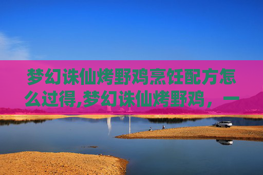 梦幻诛仙烤野鸡烹饪配方怎么过得,梦幻诛仙烤野鸡，一场味蕾的奇幻之旅