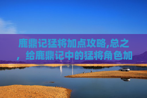 鹿鼎记猛将加点攻略,总之，给鹿鼎记中的猛将角色加点需要综合考虑多个因素，包括基础属性、技能点、装备选择、经验值获取和团队协作等。玩家需要根据自己的游戏风格和目标来制定合适的加点策略，才能在游戏中取得更好的成绩
