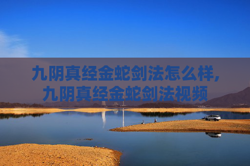 九阴真经金蛇剑法怎么样,九阴真经金蛇剑法视频