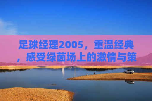 足球经理2005，重温经典，感受绿茵场上的激情与策略