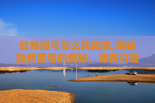 劲舞团号怎么找回来,揭秘劲舞团号的奥秘，如何打造一个受欢迎的游戏账号