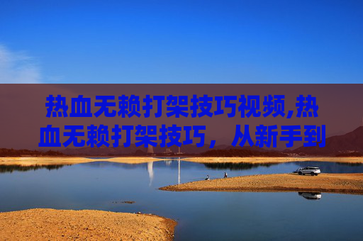 热血无赖打架技巧视频,热血无赖打架技巧,从新手到高手的必修课 热血无赖打架技巧视频,热血无赖打架技巧,从新手到高手的必修课