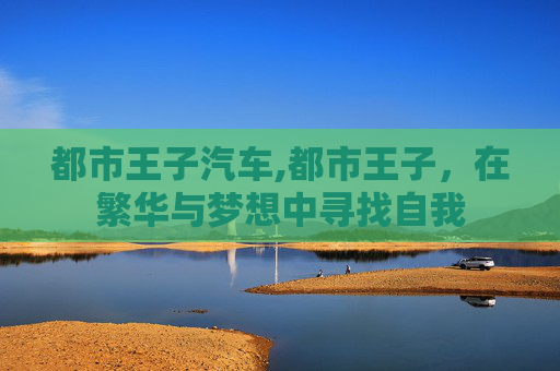 都市王子汽车,都市王子，在繁华与梦想中寻找自我