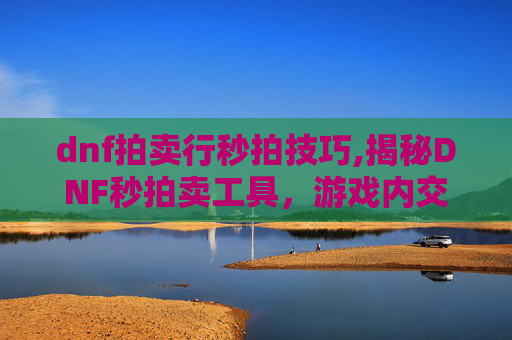 dnf拍卖行秒拍技巧,揭秘DNF秒拍卖工具，游戏内交易的捷径还是风险之源？